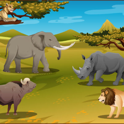 202401 Natural Sciences and Technology Gr 4-6 Big Five Poster, Q and A